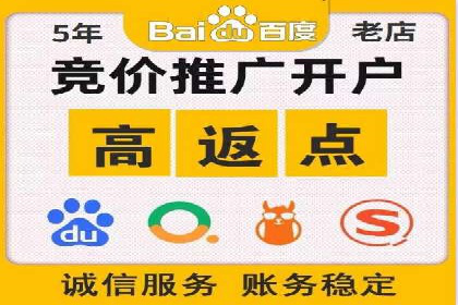 竞价端口开户成功助力企业增长